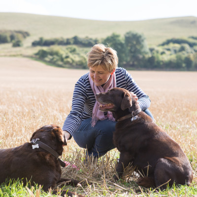 The Home and Gift store