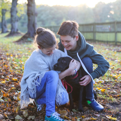 Autumn photo shoots