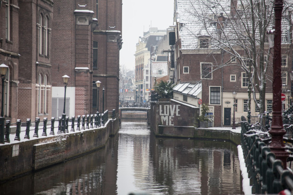 Snow Ball Fights!.jpg