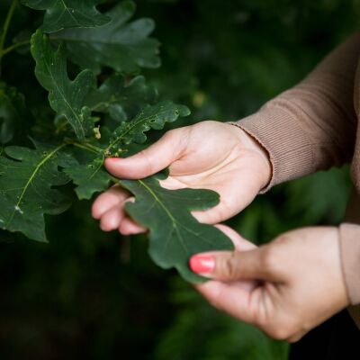 Commercial Photoshoot: Health and Homeopathy