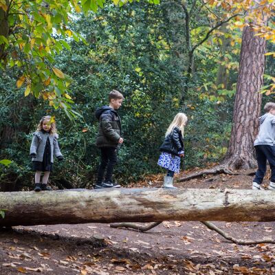 Autumn Mini shoot on 5th Nov