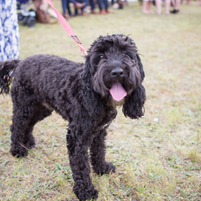 Selina and David Wrest Park